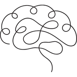 brain
