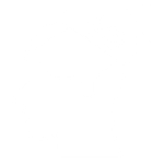 Transcranial Magnetic Stimulation (TMS) Therapy
