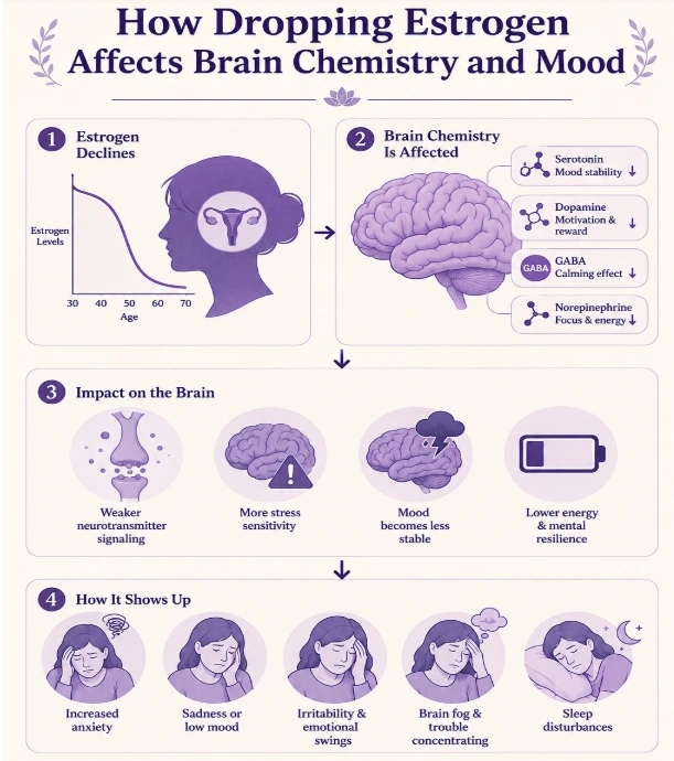 How Dropping Estrogen Effects Brain Chemistry And Mood