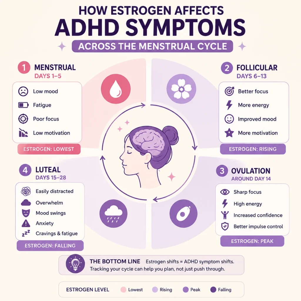 Estrogen impacts ADHD symptoms