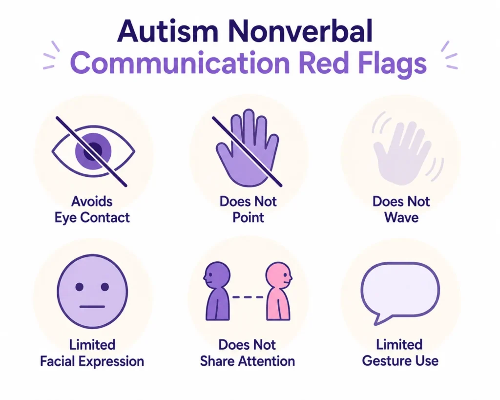 Autism Non-verbal Communication