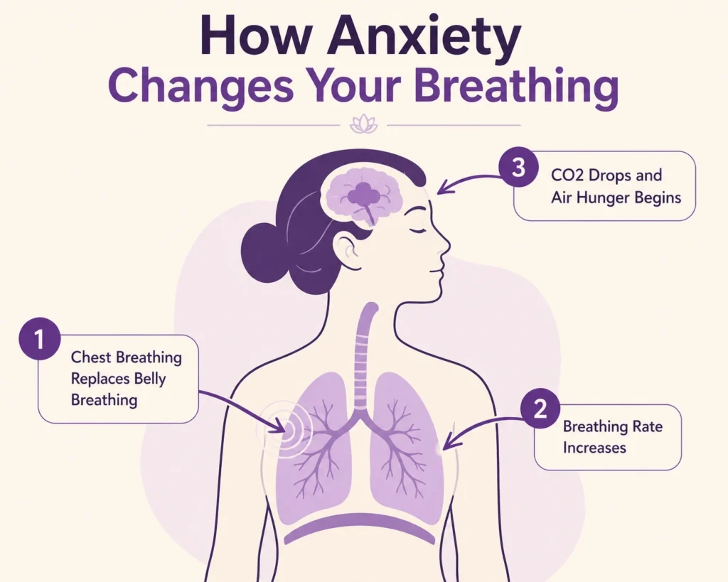 How Anxiety Changes your Breathing