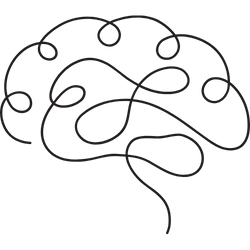 brain